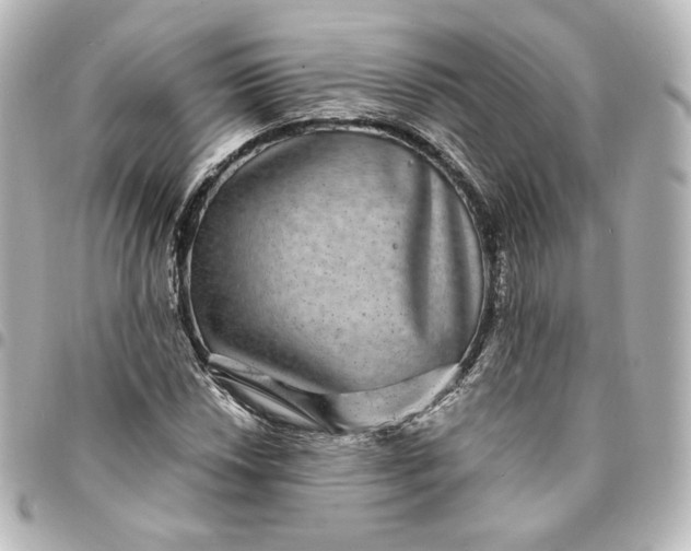 X0000095541018200712281539