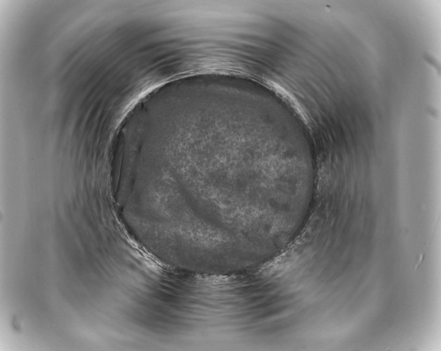 X0000095541019200712281539