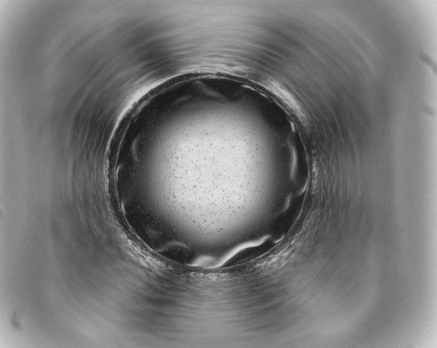 X0000095541020200712281539