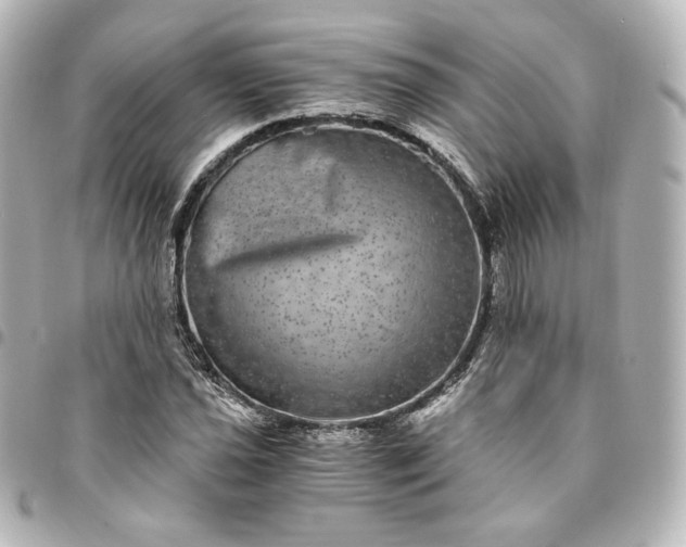 X0000095541021200712281539