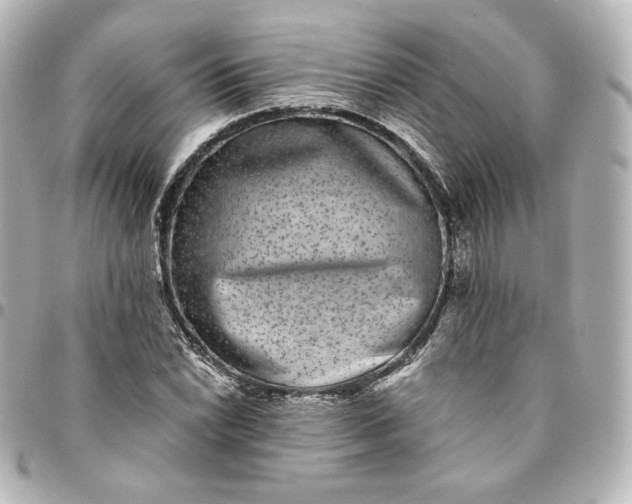 X0000095541022200712281539