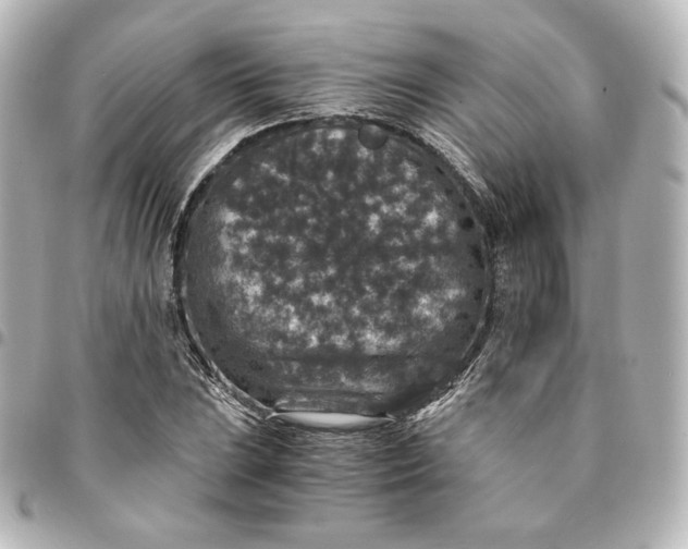 X0000095541023200712281539