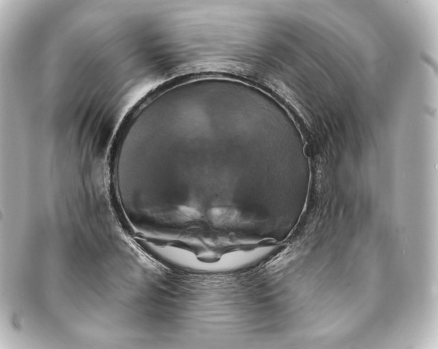 X0000095541024200712281539