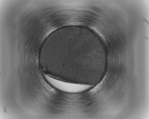 X0000095541025200712281539