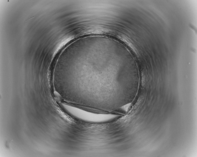 X0000095541026200712281539