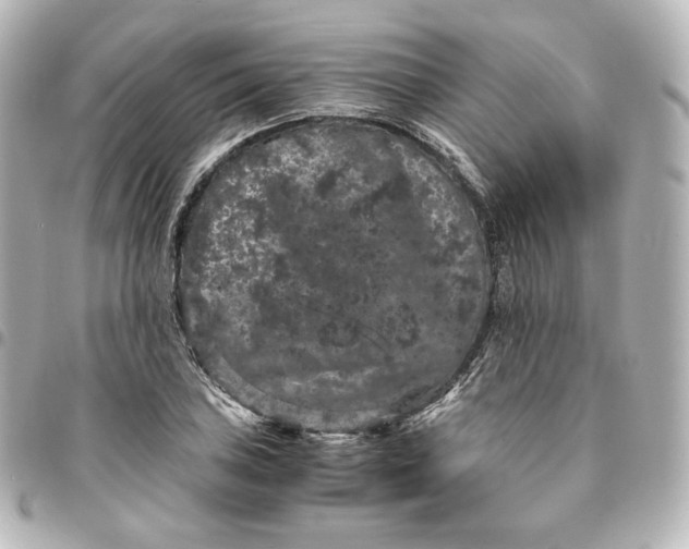 X0000095541027200712281539