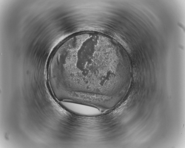 X0000095541028200712281539