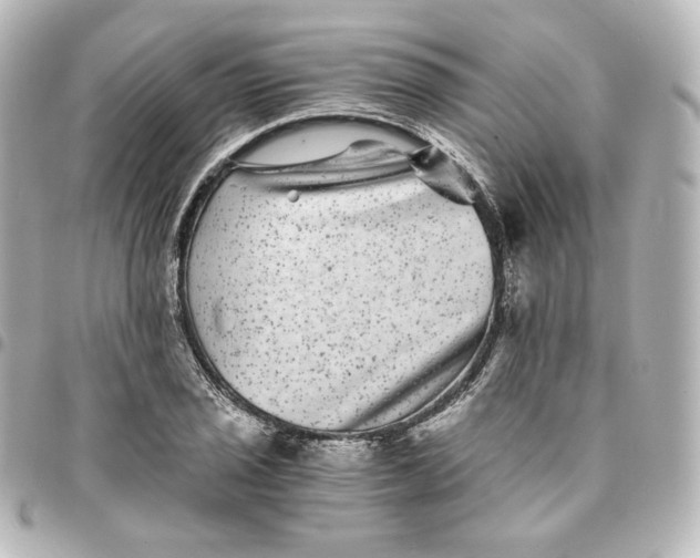 X0000095541029200712281539