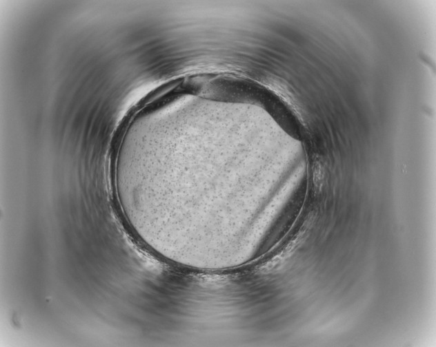 X0000095541030200712281539