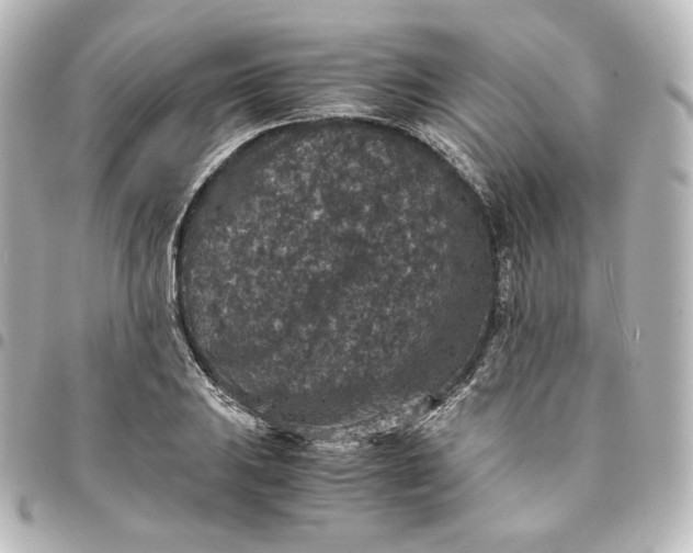 X0000095541031200712281539