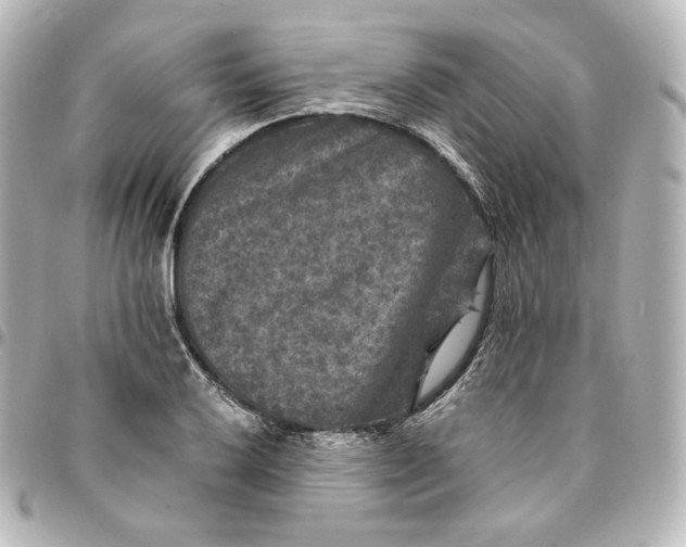 X0000095541032200712281539