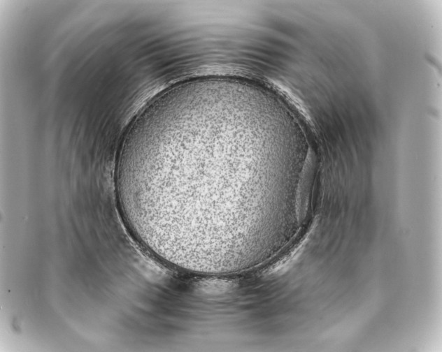 X0000095541033200712281539