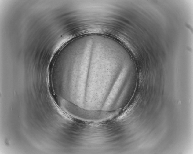 X0000095541034200712281539