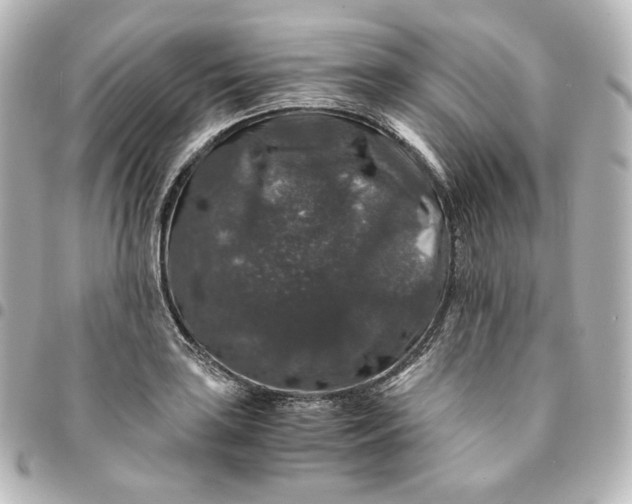 X0000095541035200712281539