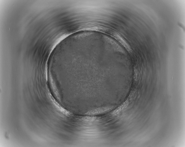 X0000095541036200712281539