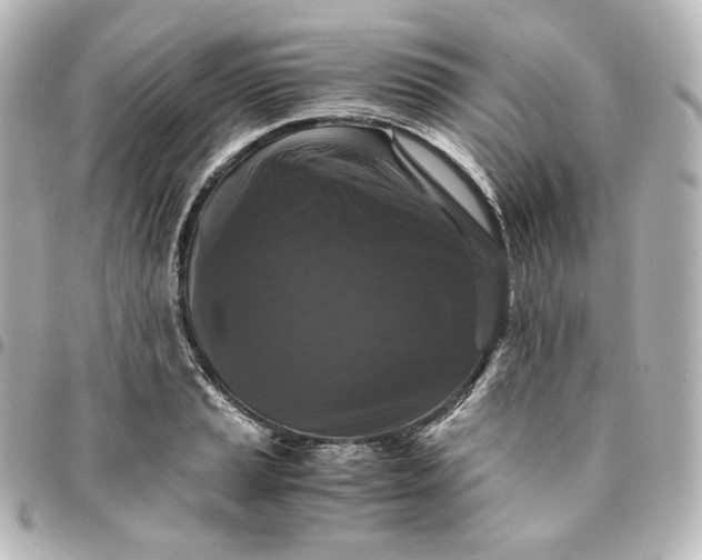 X0000095541037200712281539