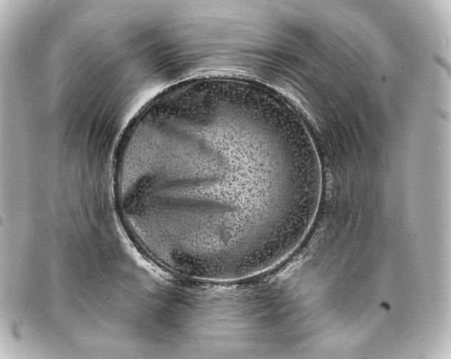 X0000095541038200712281539