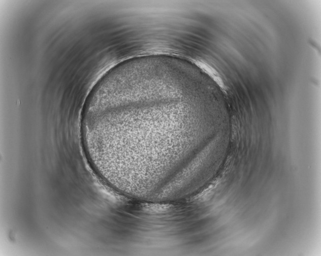 X0000095541039200712281539