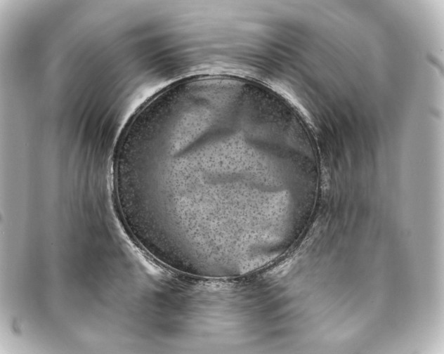 X0000095541040200712281539