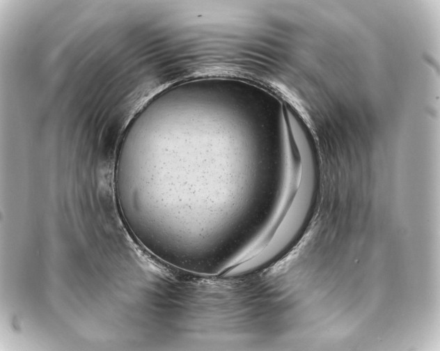 X0000095541041200712281539