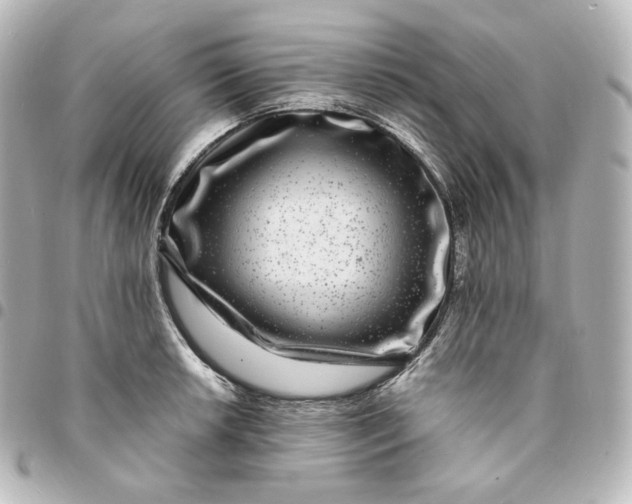 X0000095541042200712281539