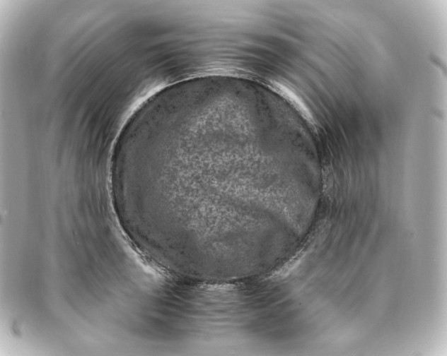 X0000095541043200712281539