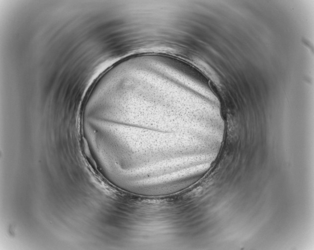 X0000095541044200712281539