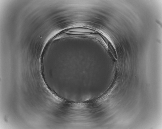 X0000095541045200712281539