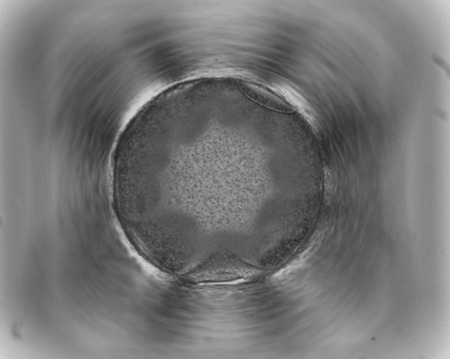 X0000095541046200712281539