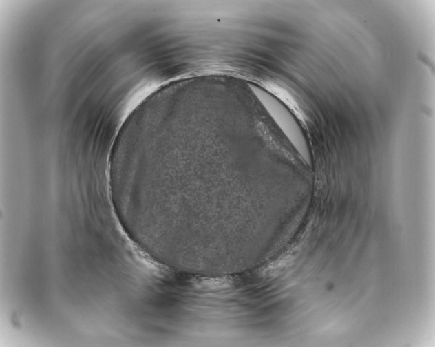 X0000095541047200712281539