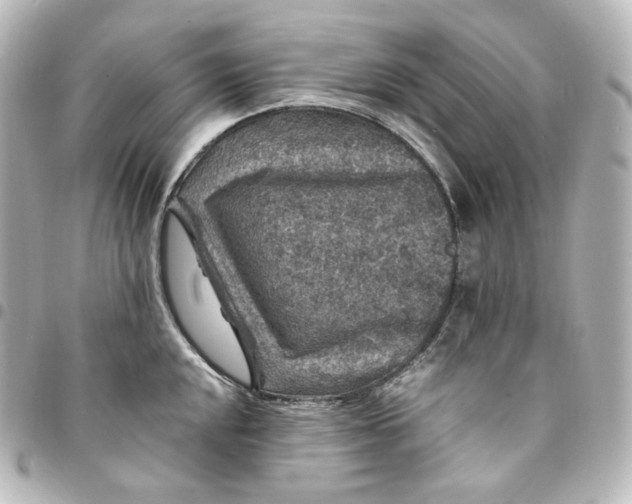 X0000095541048200712281539