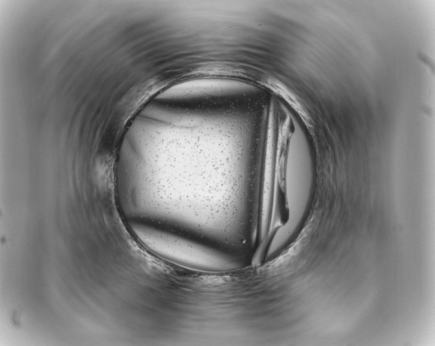 X0000095541049200712281539