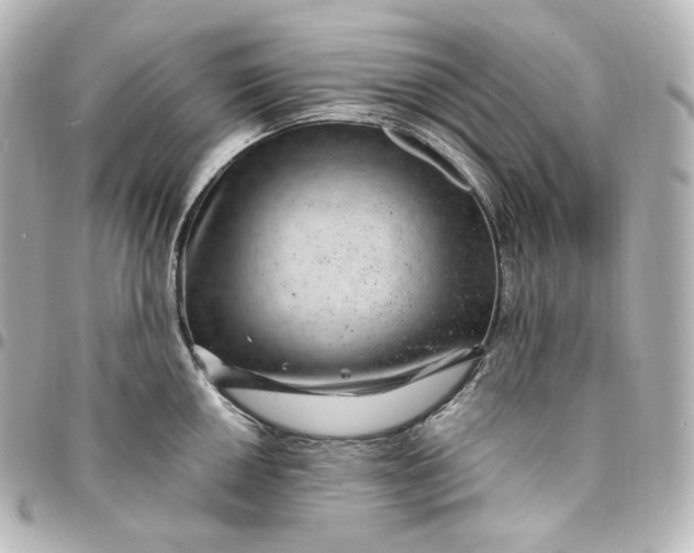 X0000095541050200712281539