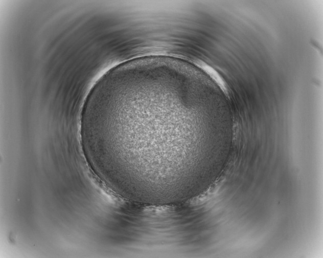 X0000095541051200712281539