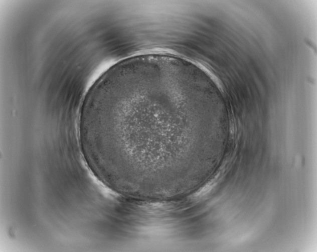 X0000095541054200712281540