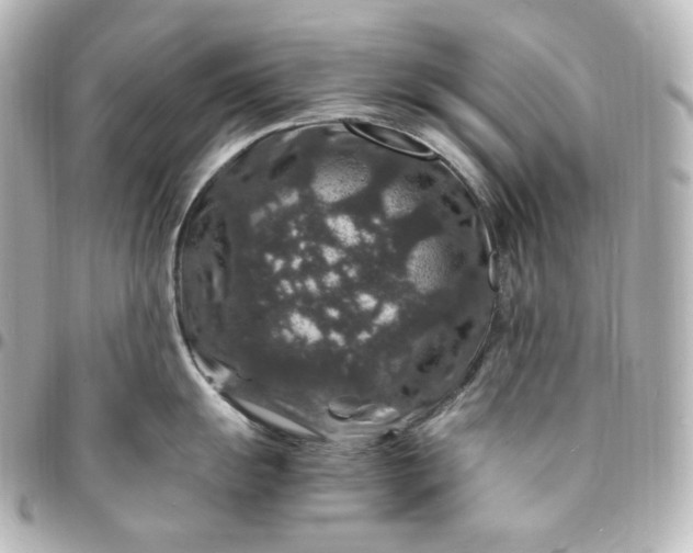 X0000095541055200712281540