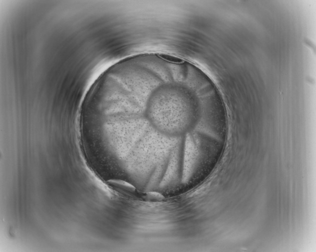 X0000095541056200712281540