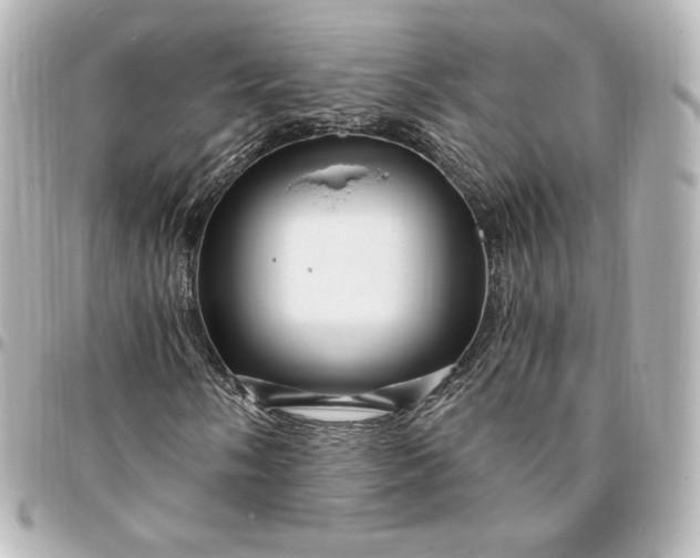 X0000095541058200712281539