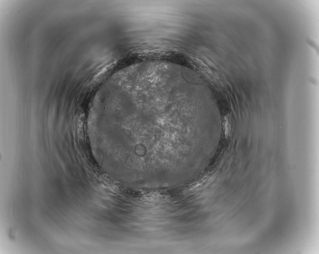 X0000095541059200712281539