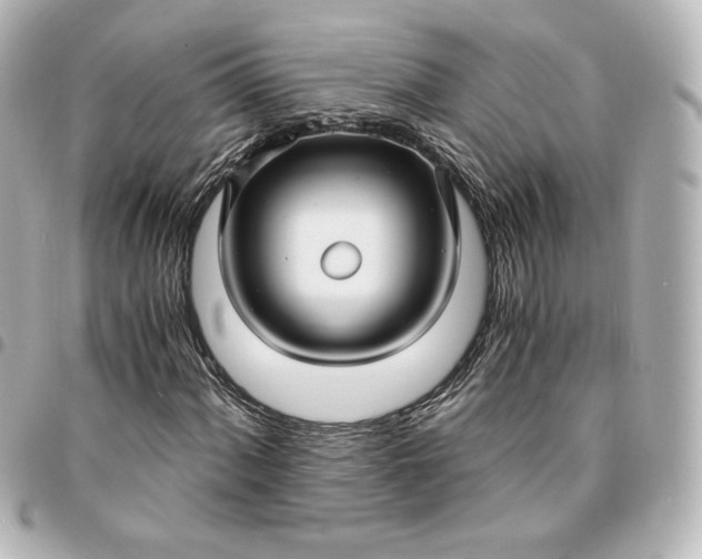 X0000095541060200712281539