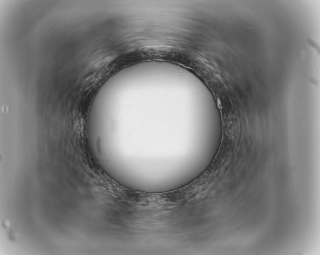 X0000095541061200712281539