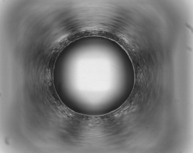 X0000095541062200712281539