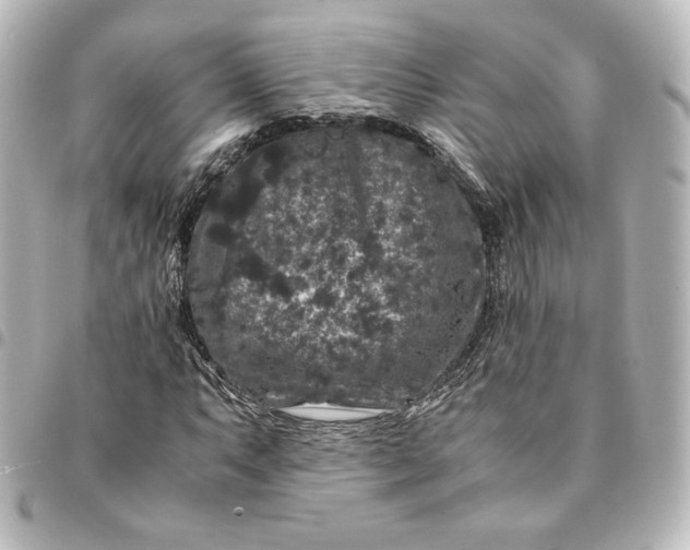 X0000095541063200712281539