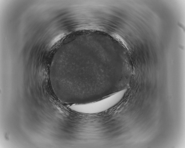 X0000095541064200712281539