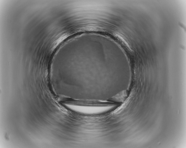 X0000095541065200712281539