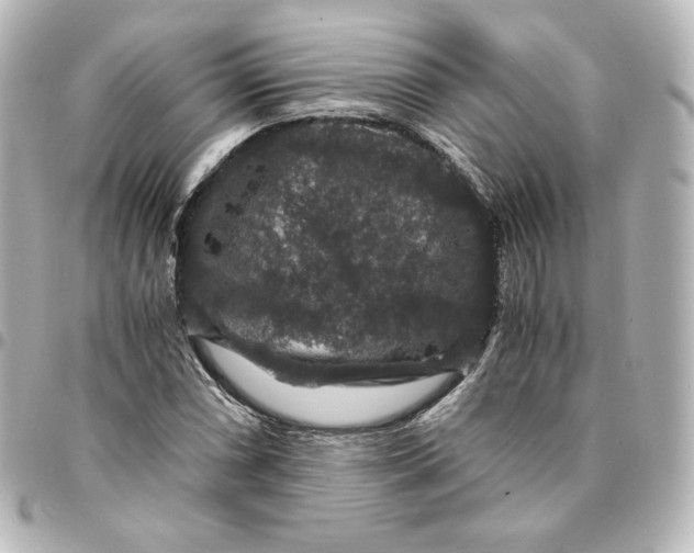 X0000095541066200712281539