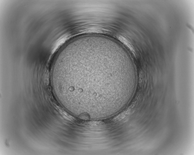 X0000095541067200712281539