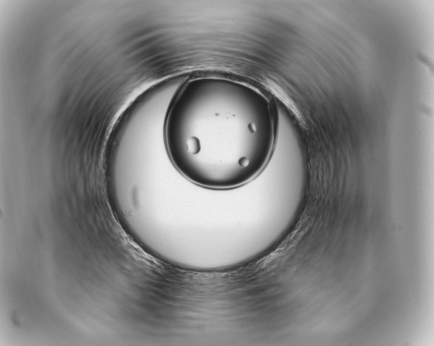 X0000095541068200712281539