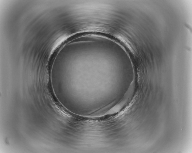 X0000095541069200712281539