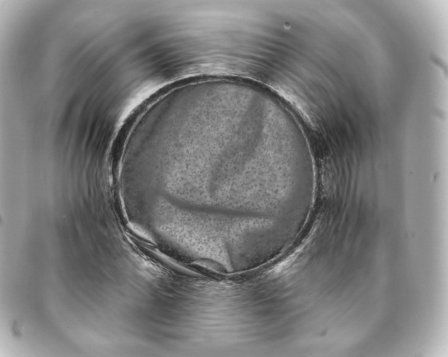 X0000095541070200712281539